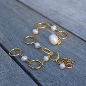 FERSKVANDS fisk med lille forgyldt blad